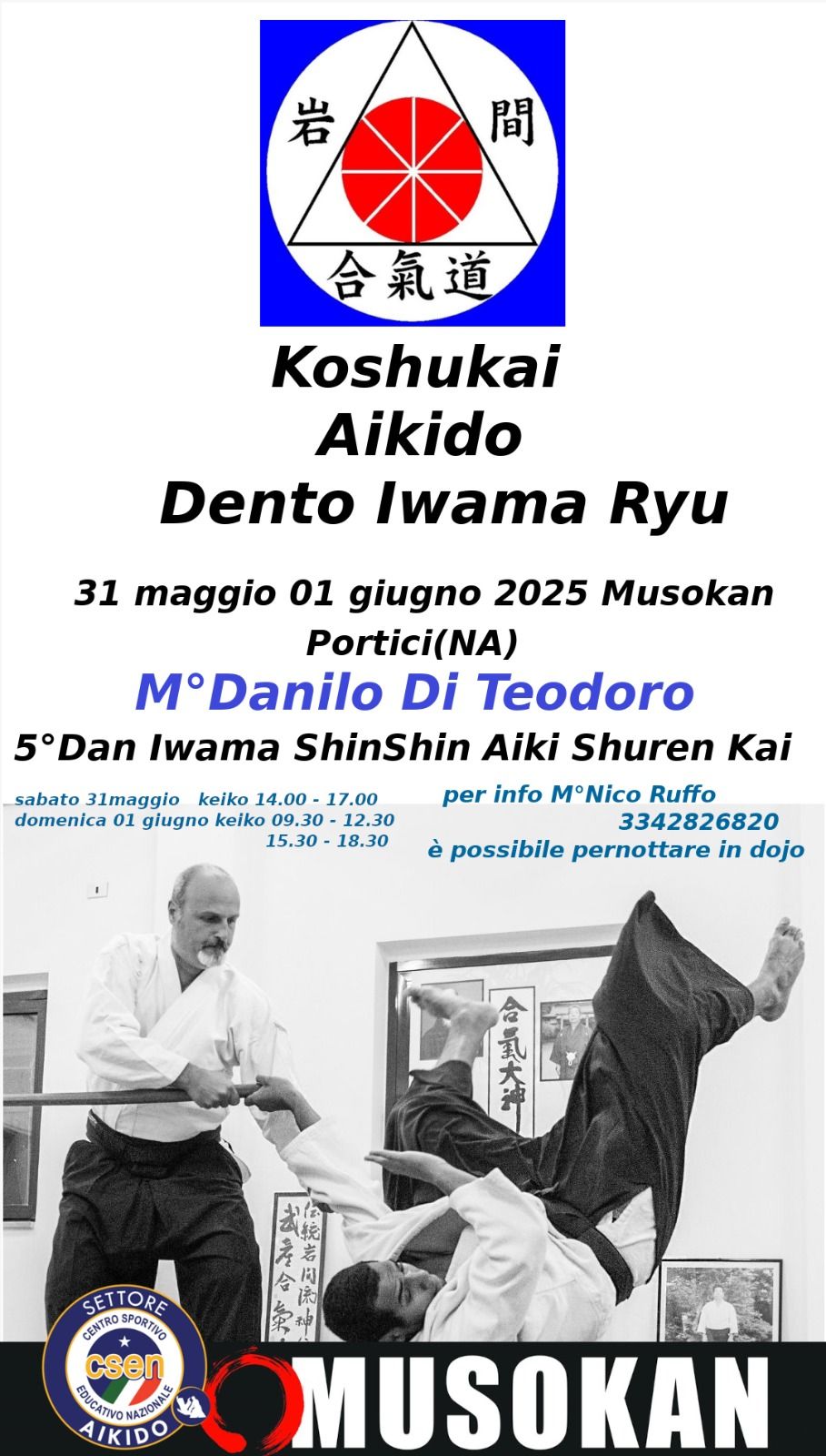 31 maggio 01 giugno 2025 Musokan Portici(NA) M°Danilo Di Teodoro 5°Dan Iwama ShinShin Aiki Shuren Kai